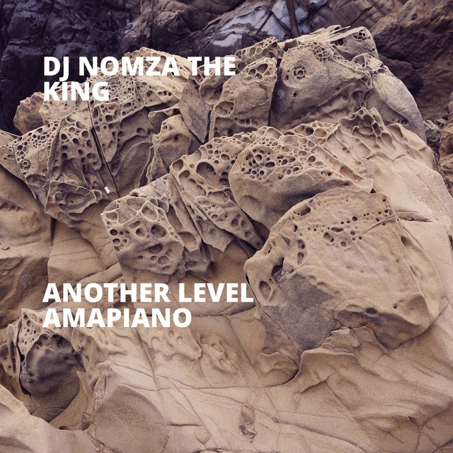 Another Level Amapiano cover art