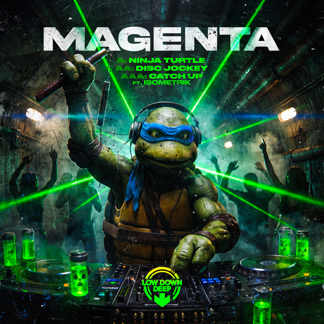 Ninja Turtle EP cover art