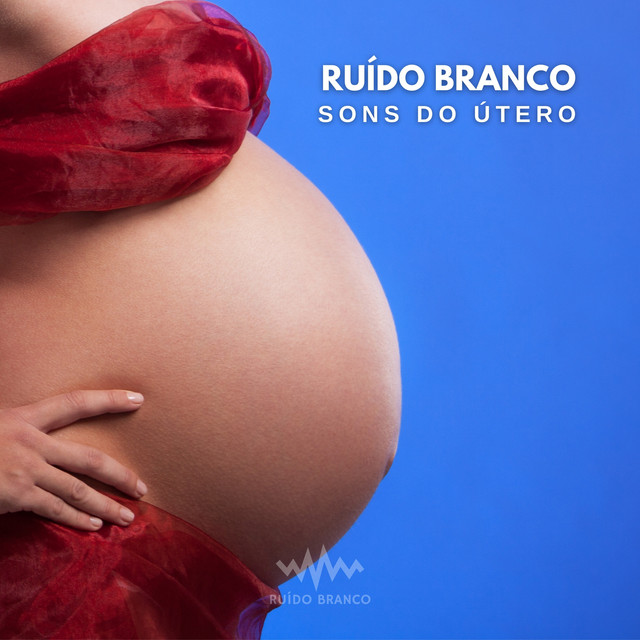 Ruído Branco: Sons do Útero cover art