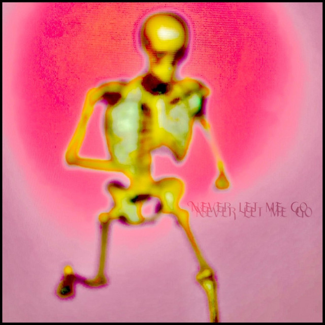 Never Let Me Go cover art