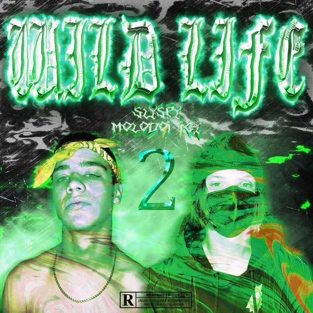 Wild Life 2 cover