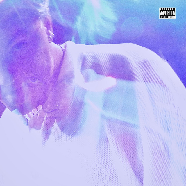 GO STUPID cover art