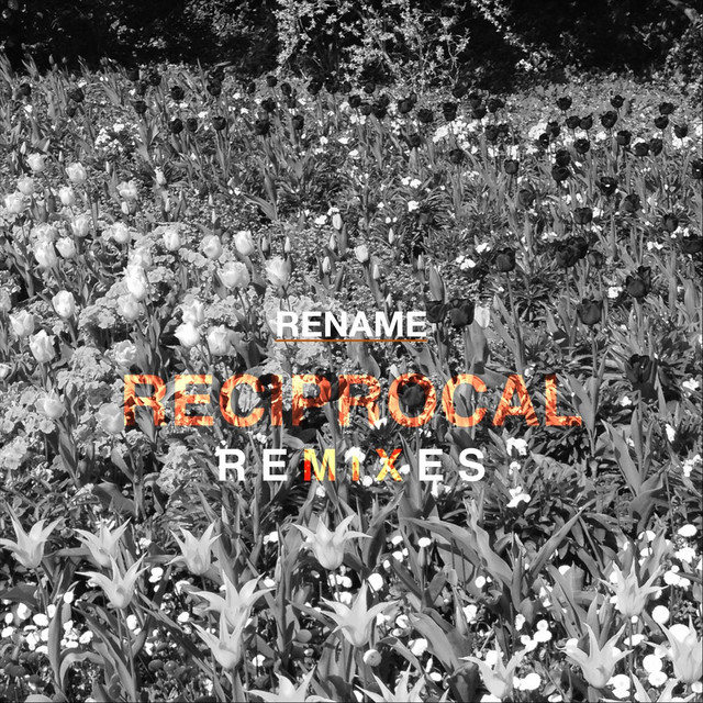 Reciprocal (Remixes) cover art