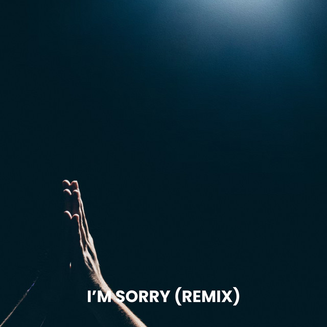 I'm Sorry - Remix