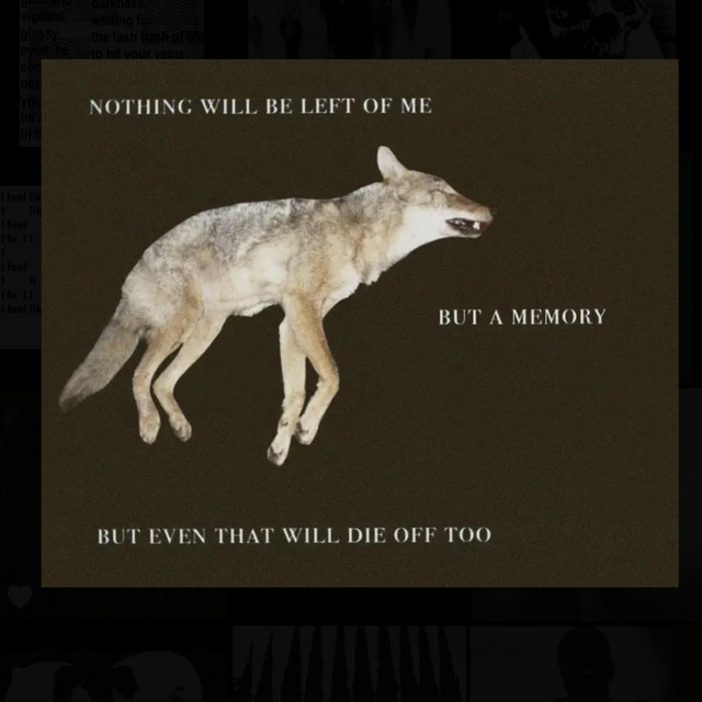 Nothing Will Be Left Of Me But A Memory But Even That Will Die Off Too cover art