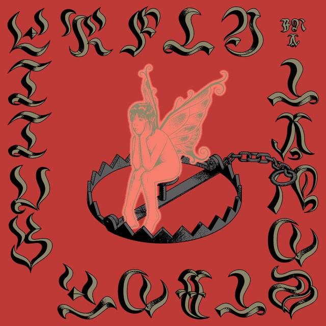 Butterfly in a Landslide cover art