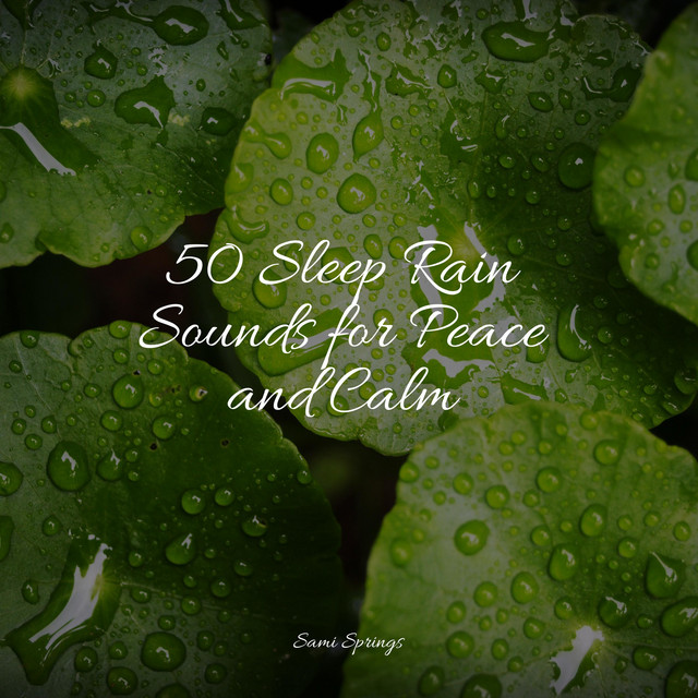 50 Sleep Rain Sounds for Peace and Calm - Album by Meditation & Stress ...