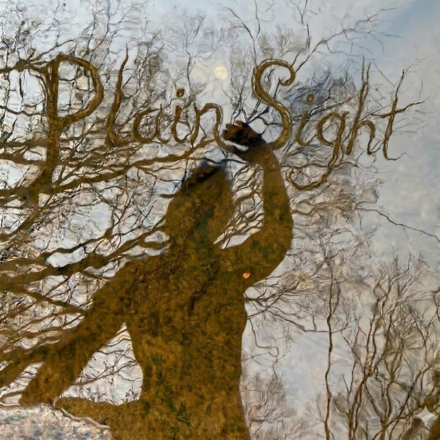 Plain Sight cover