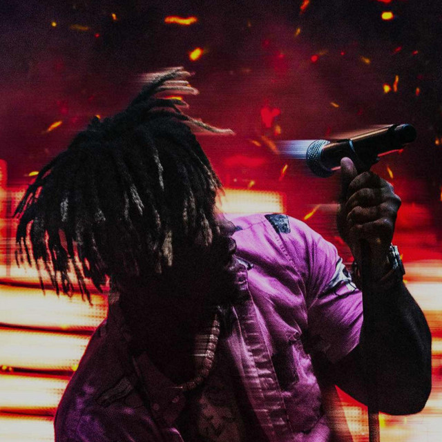 Stainless cover art