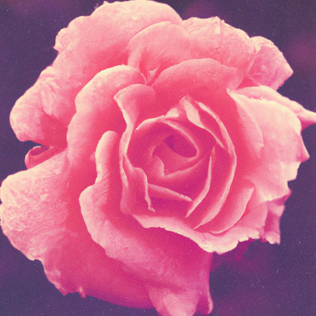 Reset cover art