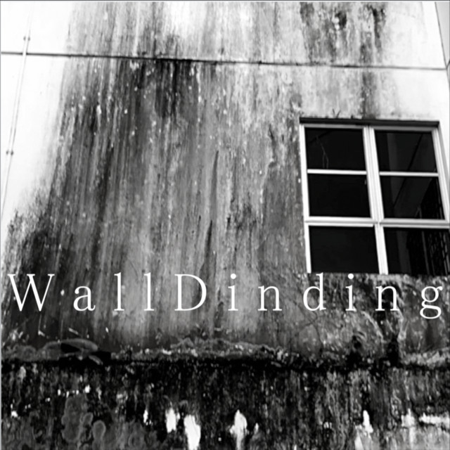 WallDinding cover art