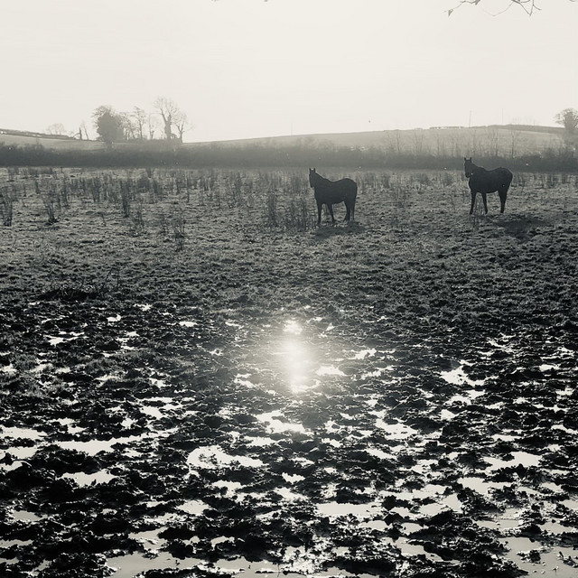 Ghost - Weston Loney