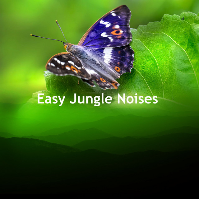 Easy Jungle Noises cover art