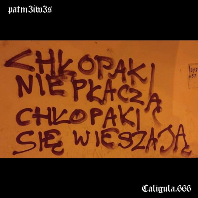 Chłopaki nie płaczą, chłopaki się wieszają cover art