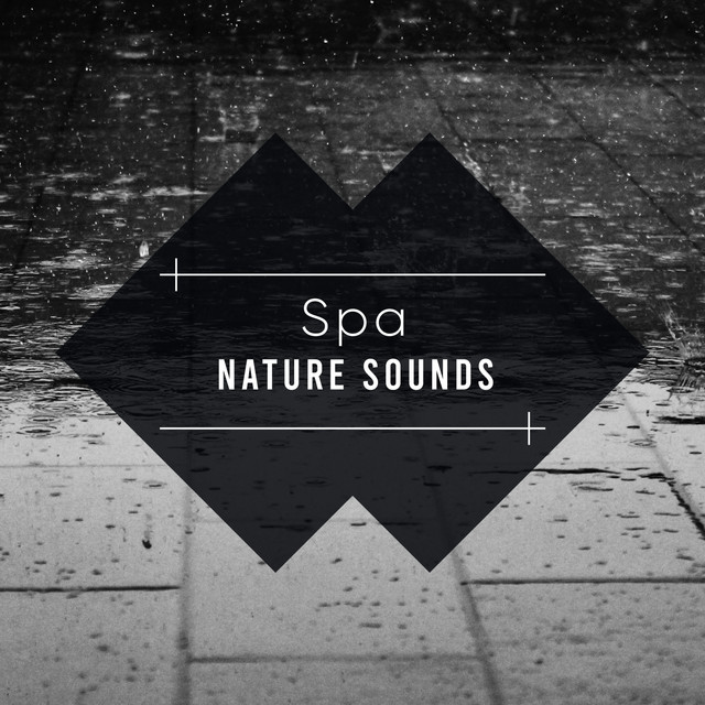 18 Spa Rain and Relaxing Nature Sounds White Noise Meditation - Album ...
