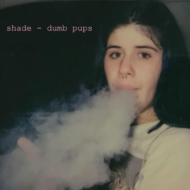 Shade cover art