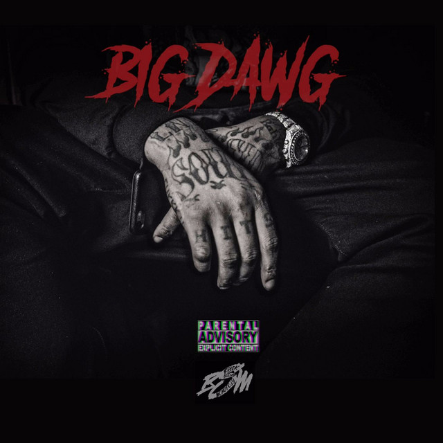 Big Dawg - song and lyrics by Waka Flocka Flame | Spotify