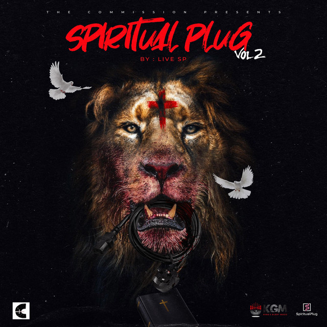 Spiritual Plug, Vol. 2 cover art