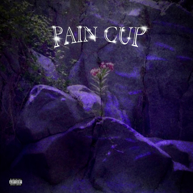 Pain Cup cover art