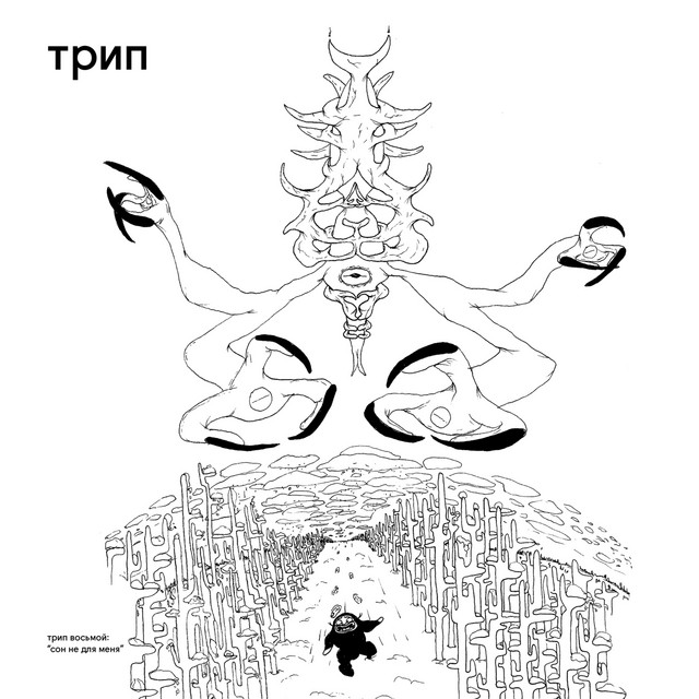 Sleep Not Found cover art