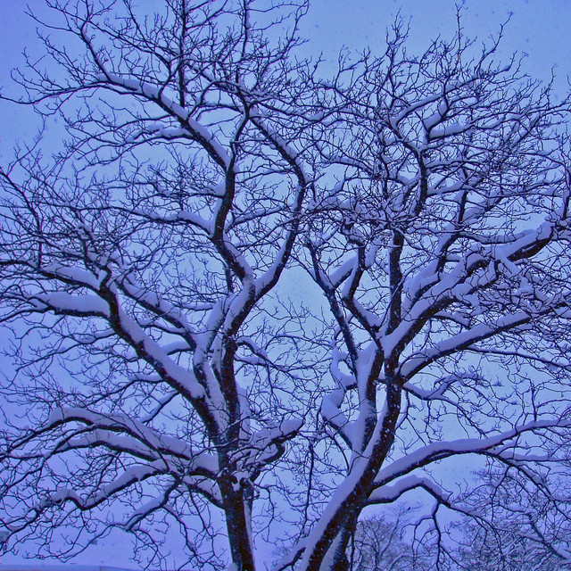 Habitat cover art