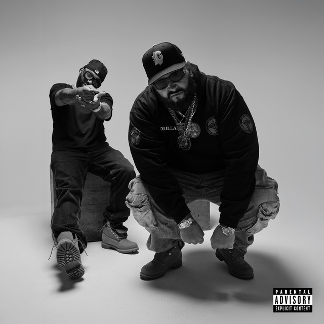 undefined album image