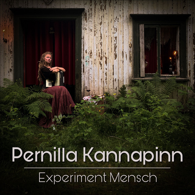 Experiment Mensch cover