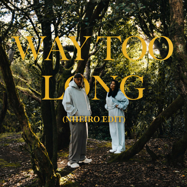 way too long (NHEIRO Edit) cover art