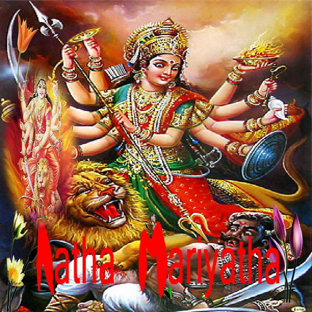 Palaakku Therinilei cover art