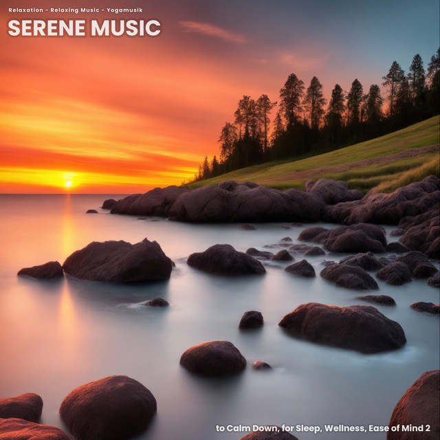 Serene Music to Calm Down, for Sleep, Wellness, Ease of Mind 2 cover art