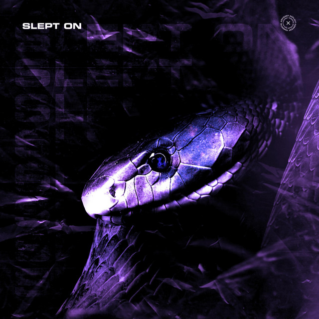 Slept On cover art