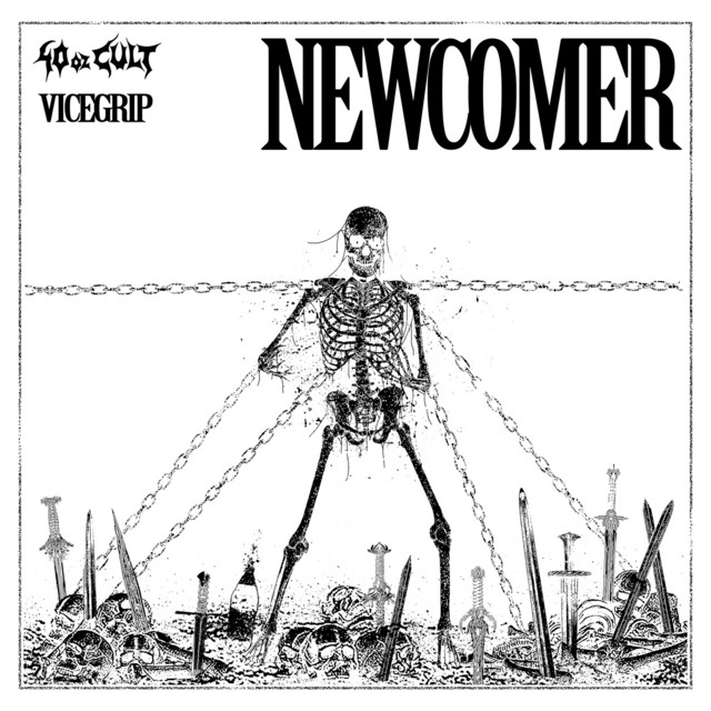 Newcomer album art