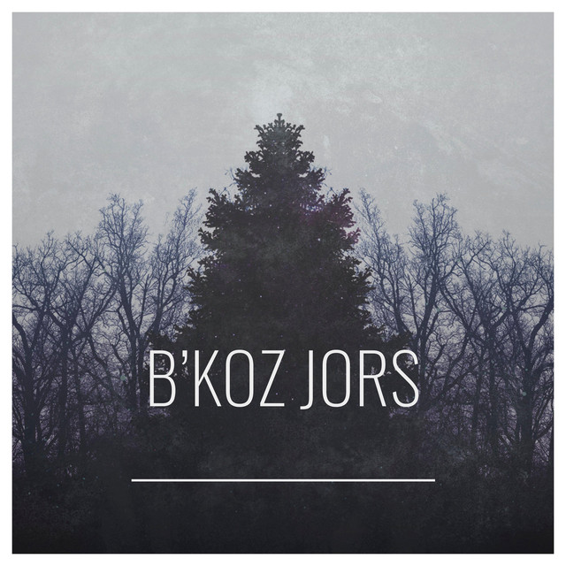 B´koz jors cover
