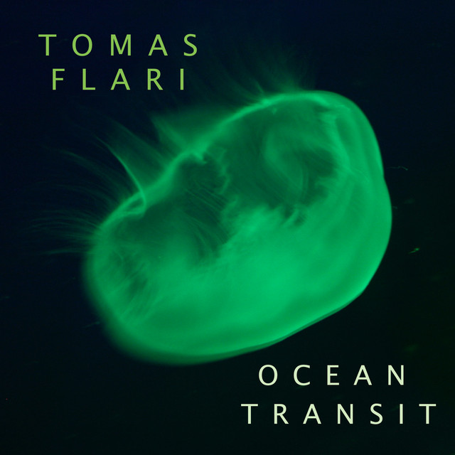 Ocean Transit