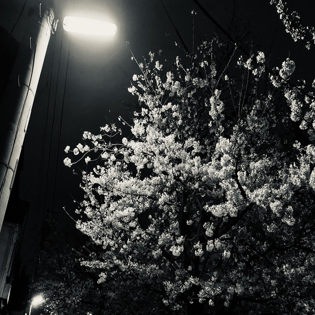 Around120 cover art