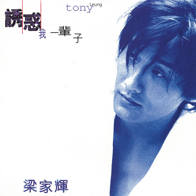 Tony 希少　梁家輝 Leung 诱惑一辈子CD