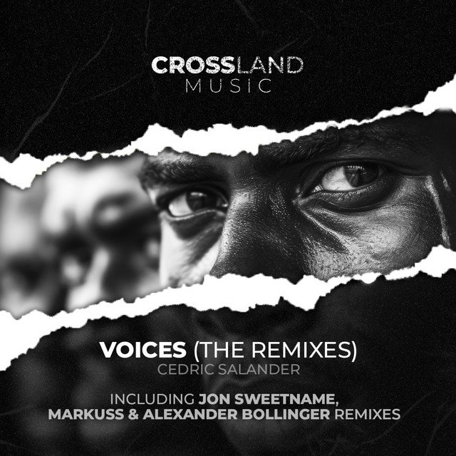 Voices (The Remixes) cover art