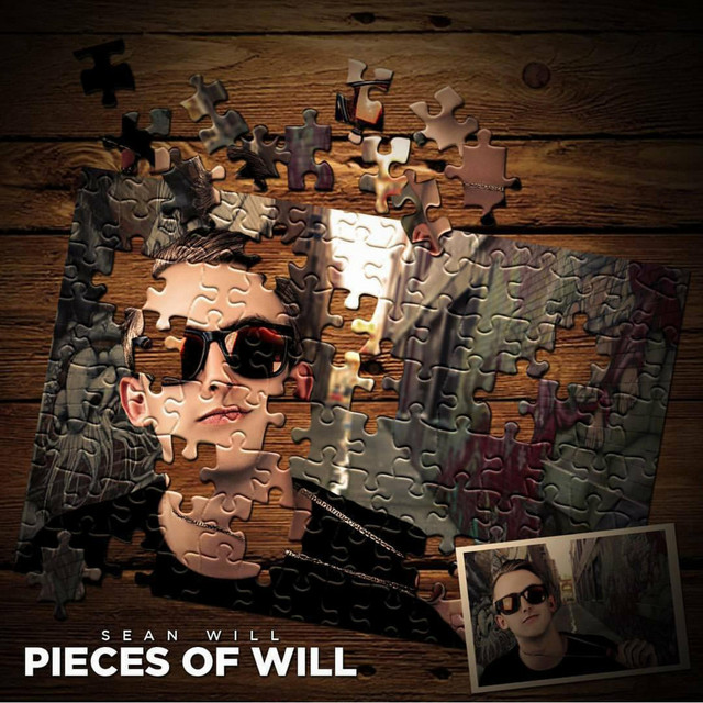 Pieces of Will cover art