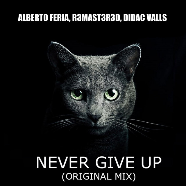Never Give Up cover