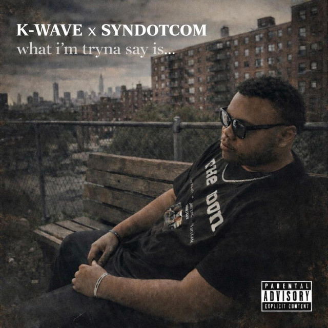 What I'm Tryna Say is... cover art