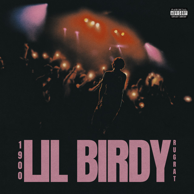 Lil Birdy cover art
