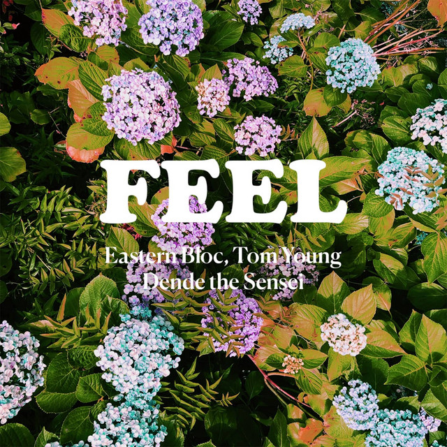 Feel cover art