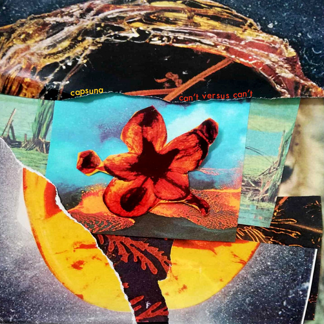 can't versus can't cover art