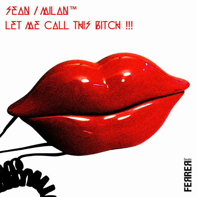Let Me Call This Bitch (Remixes) cover