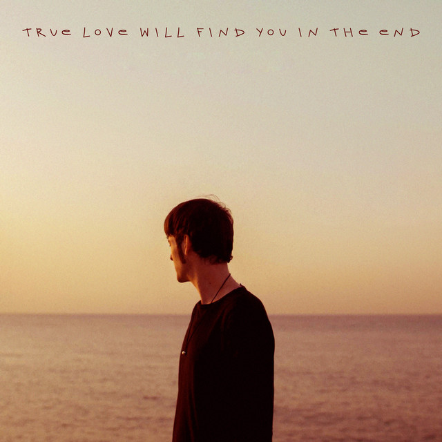 True Love Will Find You in the End cover
