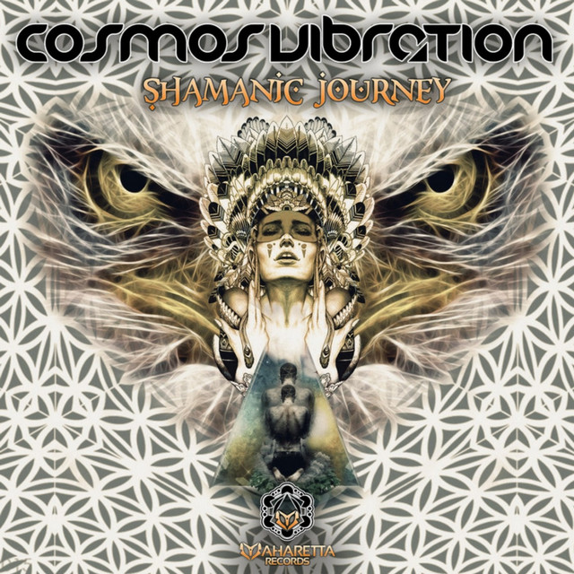 Shamanic Journey cover