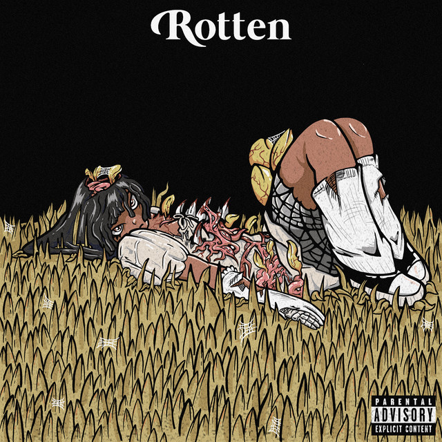 undefined album image