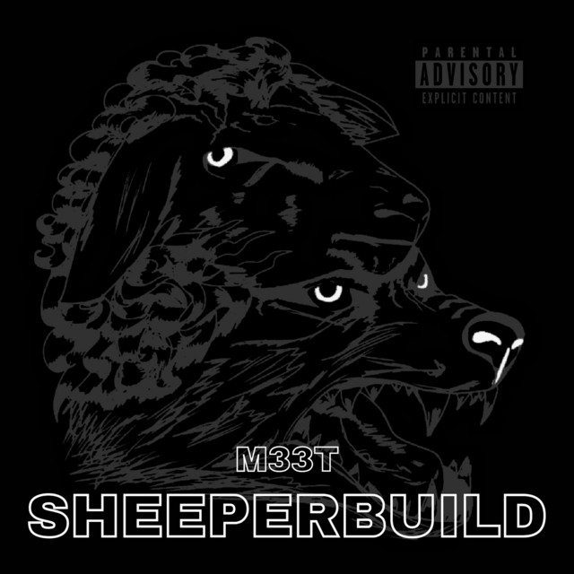 Test cover art
