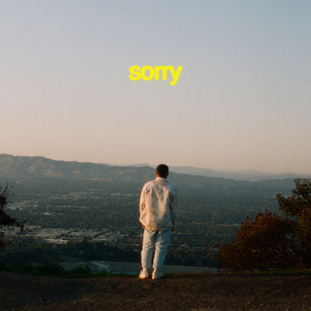 Sorry cover art
