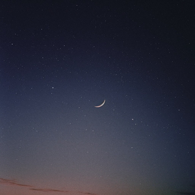 Linger cover art